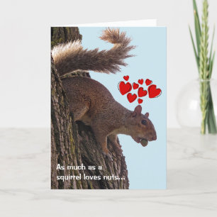 Squirrel Valentine's Day Card