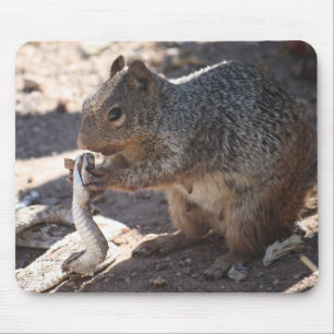 Squirrel vs. Rattlesnake Mousepad