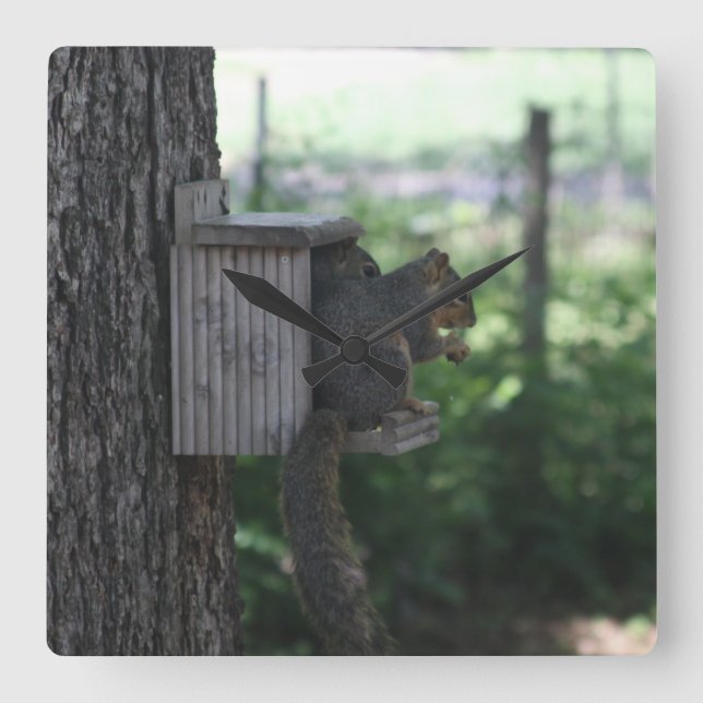 Squirrel Wall Clock (Front)