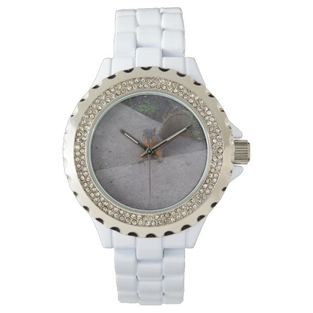 Squirrel Watch (Front)