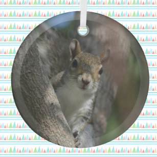Squirrel Watching from a Tree Glass Tree Decoration