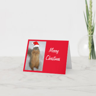 Squirrel wearing a Santa Claus Hat for Christmas Thank You Card