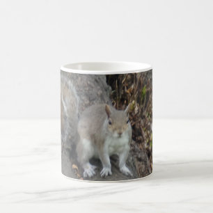 Squirrel White Coffee Mug