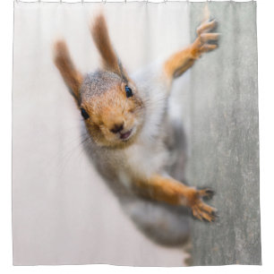 Squirrel - Who Are You Shower Curtain