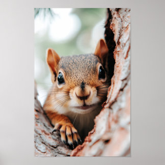 Squirrel Wild Animal Loving Portrait  Poster