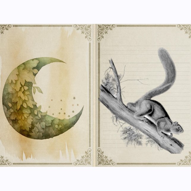 Squirrel Wild Animals Vintage Illustration Rubber Stamp (Creator Uploaded)