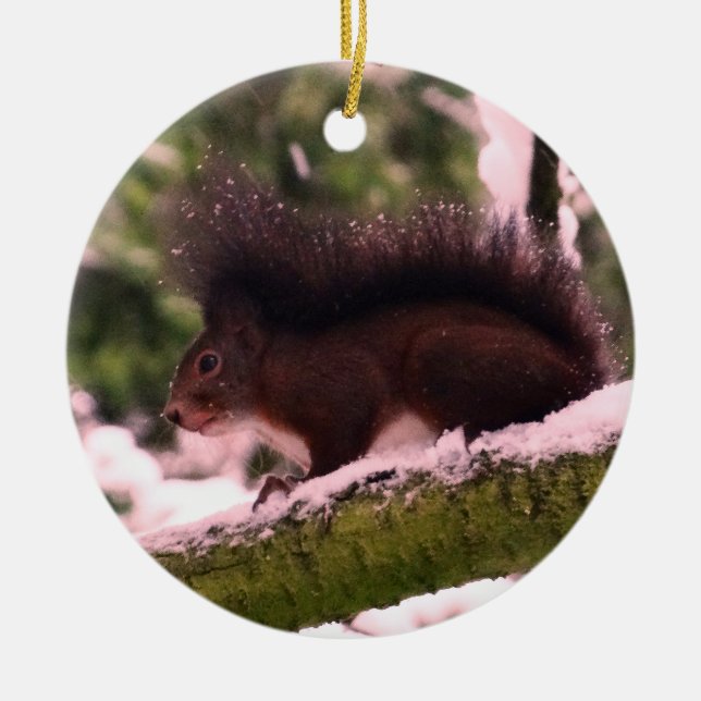 Squirrel Winter Photo  Circle Ornament (Front)