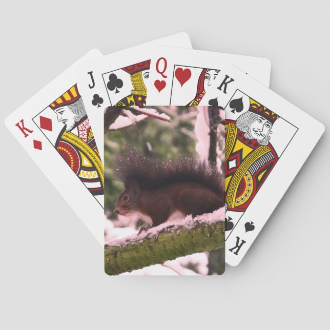 Squirrel Winter Photo Classic Playing Cards (Back)