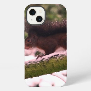 Squirrel Winter Photo  iPhone 6/6s, Tough Xtreme 13 Case