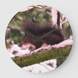 Squirrel Winter Photo Round Wall Clock