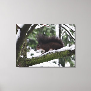 Squirrel Winter Photo  Single Print