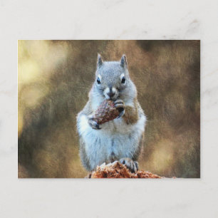Squirrel with a Pine Cone Postcard