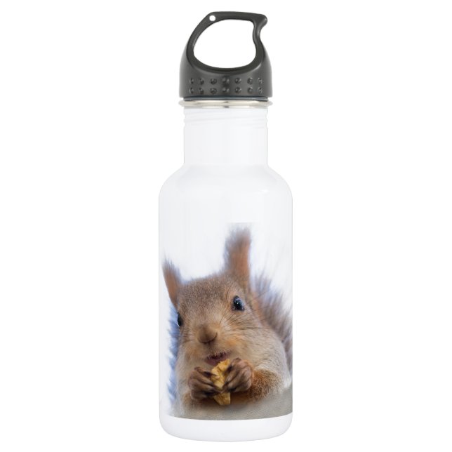 Squirrel with a walnut 532 ml water bottle (Front)