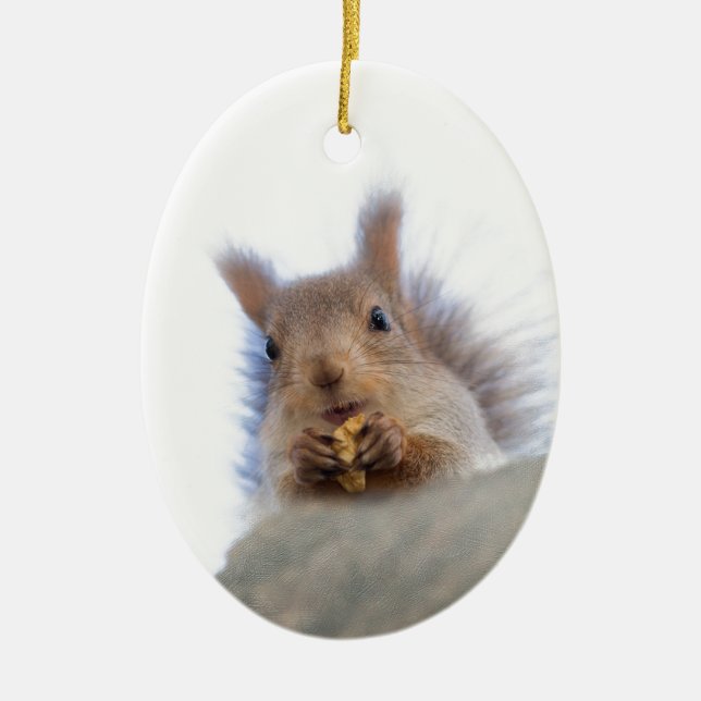 Squirrel with a walnut ceramic tree decoration (Front)