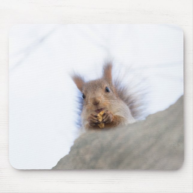 Squirrel with a walnut mouse mat (Front)