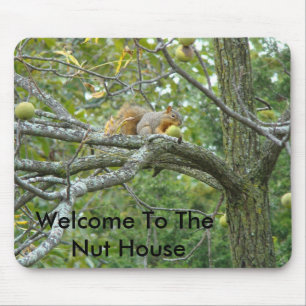 Squirrel With A Walnut, Welcome To The Nut House Mouse Mat