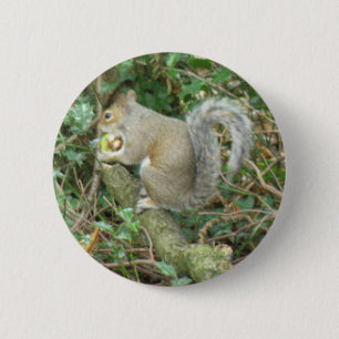 Squirrel with Acorn Button