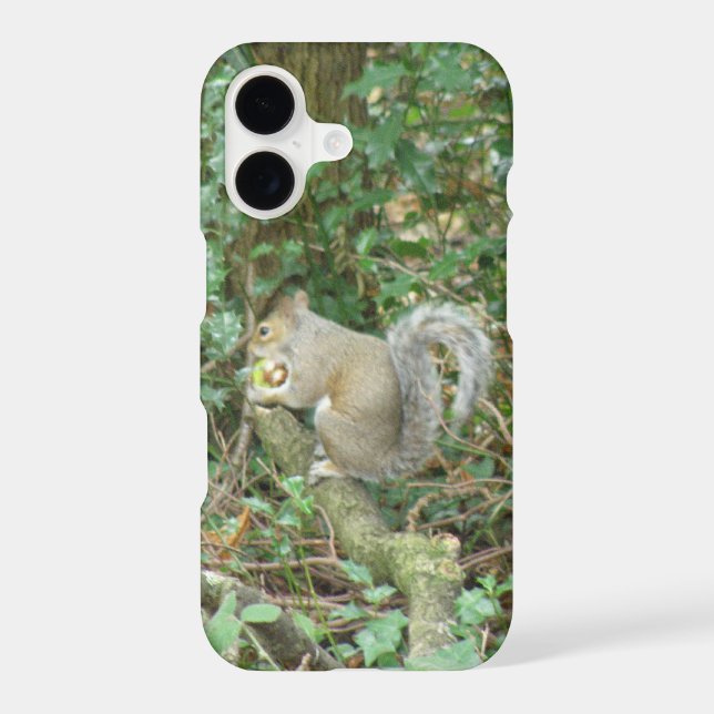 Squirrel with Acorn iPhone 3 Case (Back)