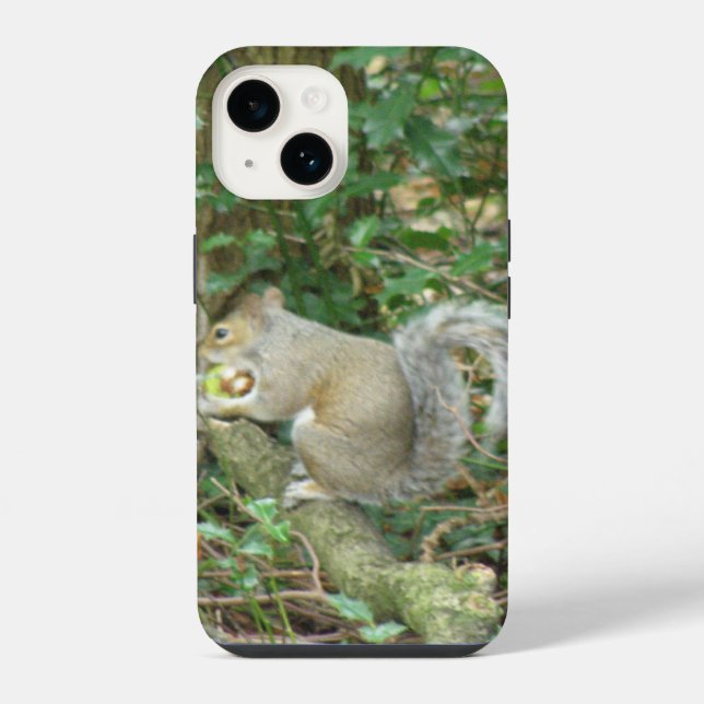Squirrel with Acorn iPhone Case (Back)