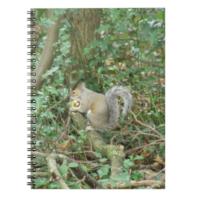 Squirrel with Acorn Notebook (Front)