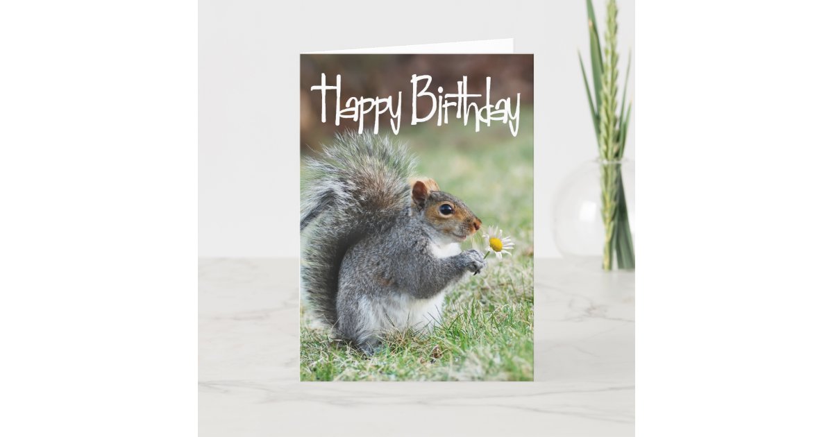 Squirrel with Daisy Happy Birthday Card | Zazzle