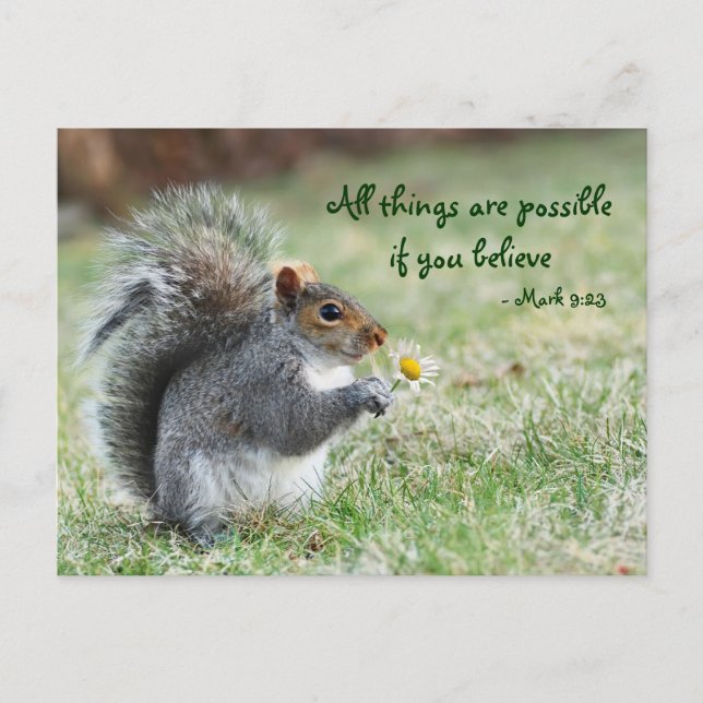 Squirrel with Daisy Mark 9:23 Verse Postcard (Front)