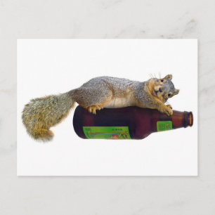 Squirrel with Empty Beer Bottle Postcard