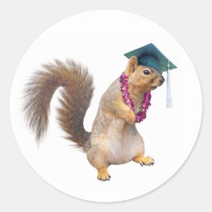 Squirrel with Lei Graduation Sticker
