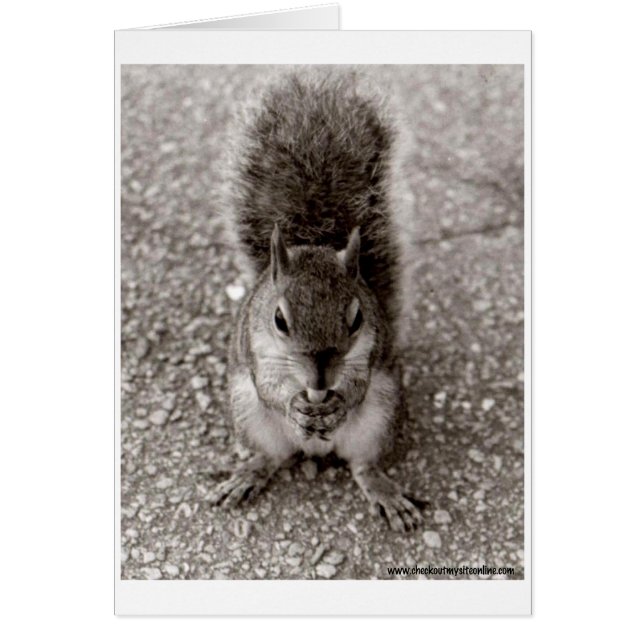 Squirrel with Nut (Front)