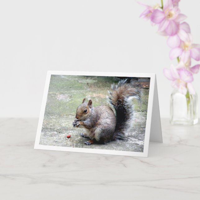Squirrel with Nut Card (Orchid)
