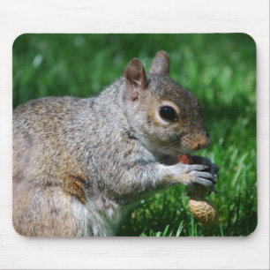 Squirrel with Nut Mouse Pad
