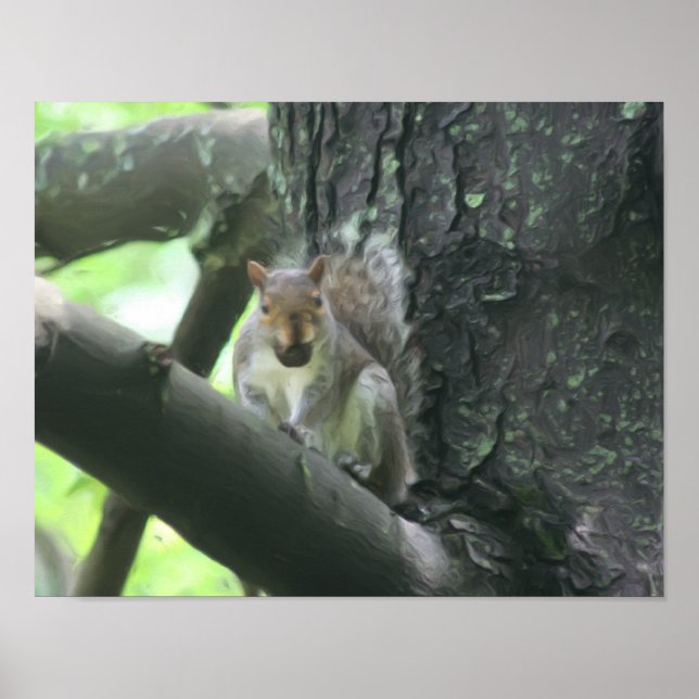 Squirrel With Nut Nature Photo Painting Poster (Front)