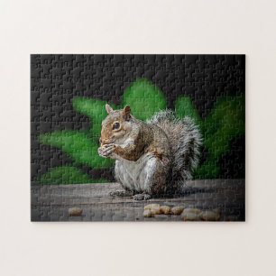 Squirrel with peanuts jigsaw puzzle