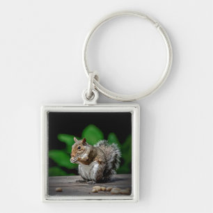 Squirrel with peanuts key ring