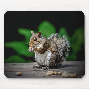 Squirrel with peanuts mouse mat