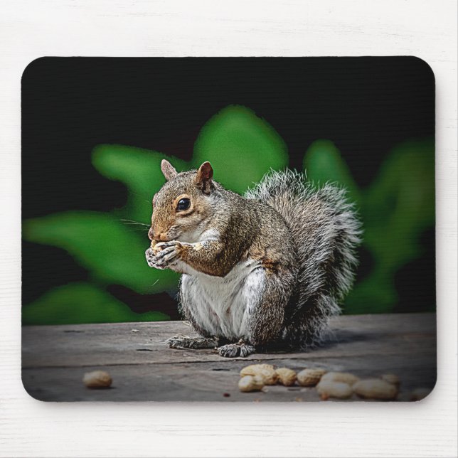 Squirrel with peanuts mouse mat (Front)