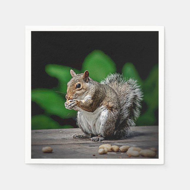 Squirrel with peanuts napkin (Front)