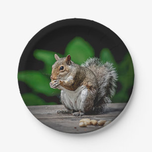 Squirrel with peanuts paper plate
