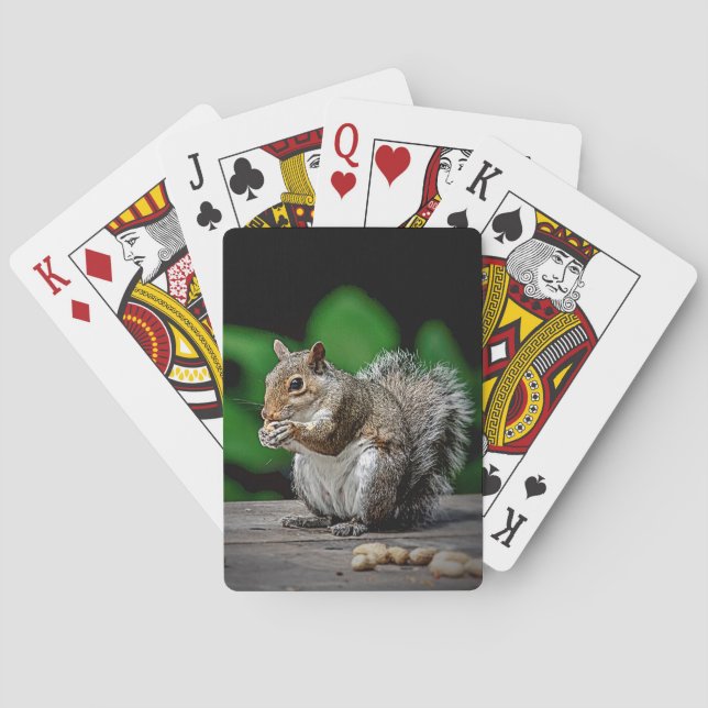 Squirrel with peanuts playing cards (Back)