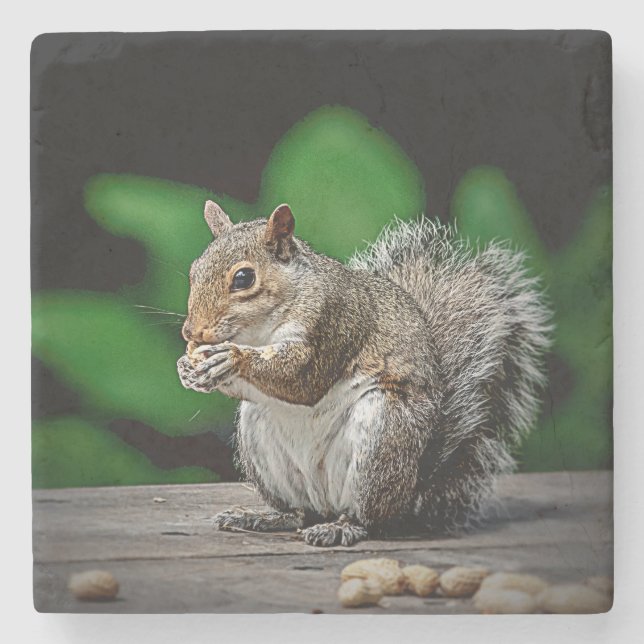 Squirrel with peanuts stone coaster (Front)