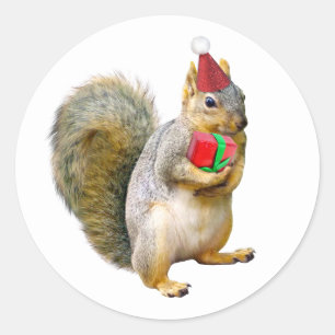 Squirrel with Red Gift Stickers