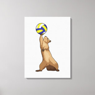 Squirrel with Volleyball Canvas Print