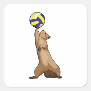 Squirrel with Volleyball Square Sticker