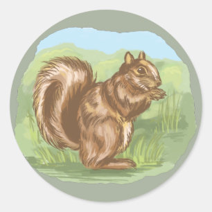 Squirrel Woodland Life Cartoon Design Classic Round Sticker