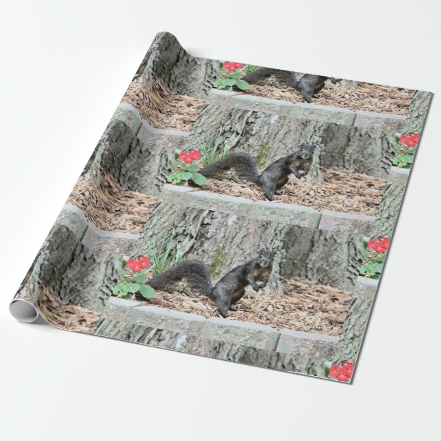 Squirrel Wrapping Paper (Unrolled)
