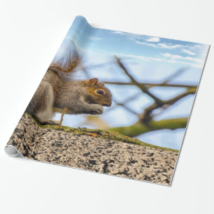 Squirrel Wrapping Paper