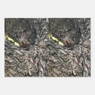 Squirrel Wrapping Paper Flat Sheet Set of 3