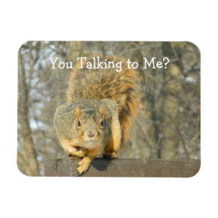 Squirrel (You Talking)  Magnet