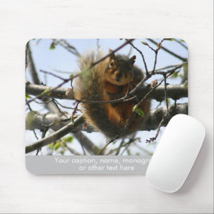 Squirrel Your Caption Name Monogram Gray Mouse Mat