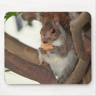 squirrelfriend mouse mat
